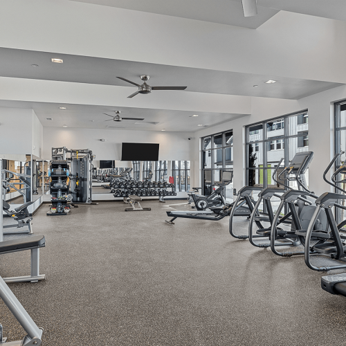 Wellness Personified